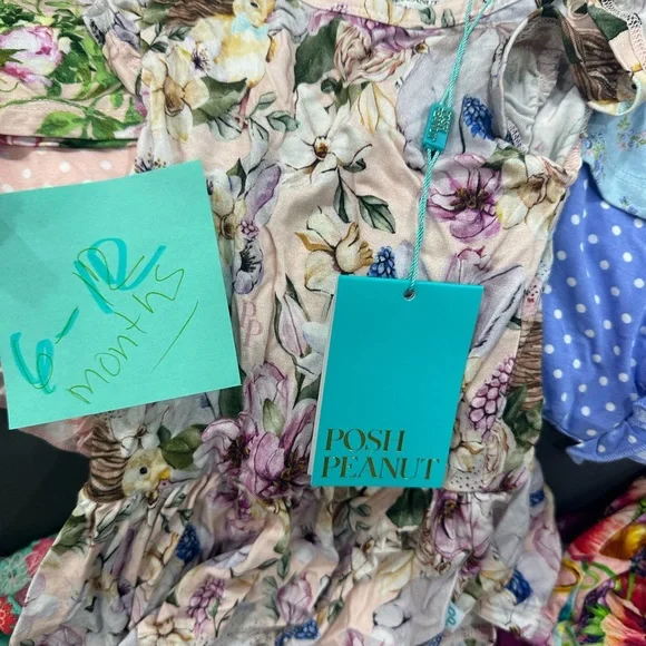 Posh peanut 6-12months - Picture 6 of 9